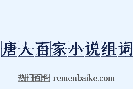 唐人百家小说组词是什么意思的图片